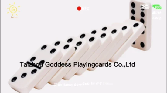 Ensemble de domino rouge professionnel en plastique Ensemble de domino double six avec boîte en cuir