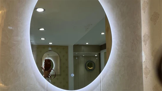 Usine en gros taille personnalisée forme ronde miroir de maquillage suspendu avec abat-jour en acrylique salle de bains vanité LED miroir intelligent